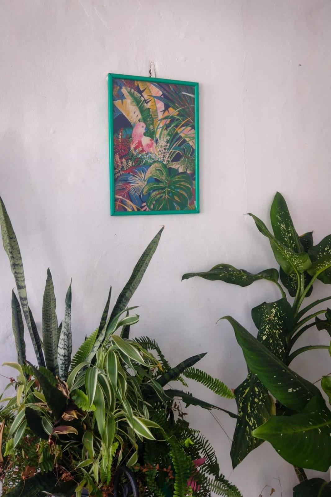 Residence Girassol ベレン エクステリア 写真